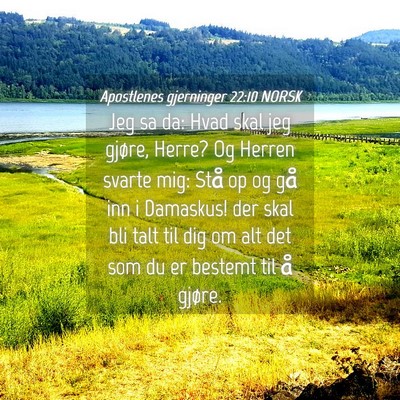 Picture 04 - Apostlenes gjerninger 22:10 NORSK - Jeg sa da: Hvad skal jeg gjøre, Herre? Og Herren - Bible Verse Picture