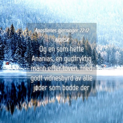 Picture 04 - Apostlenes gjerninger 22:12 NORSK - Og en som hette Ananias, en gudfryktig mann efter - Bible Verse Picture