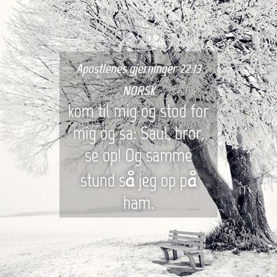 Picture 04 - Apostlenes gjerninger 22:13 NORSK - kom til mig og stod for mig og sa: Saul, bror, se - Bible Verse Picture