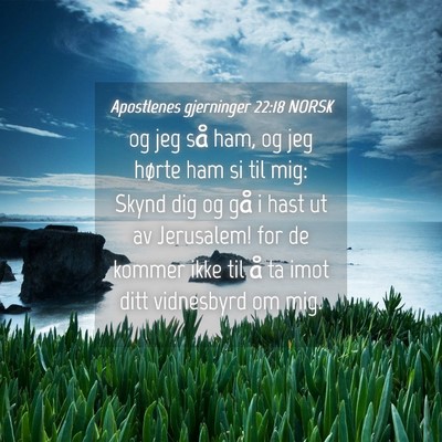 Picture 04 - Apostlenes gjerninger 22:18 NORSK - og jeg så ham, og jeg hørte ham si til mig: - Bible Verse Picture