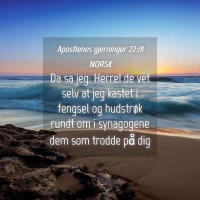 Picture 04 - Apostlenes gjerninger 22:19 NORSK - Da sa jeg: Herre! de vet selv at jeg kastet i - Bible Verse Picture