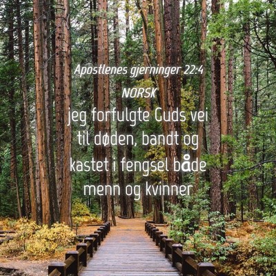 Picture 04 - Apostlenes gjerninger 22:4 NORSK - jeg forfulgte Guds vei til døden, bandt og - Bible Verse Picture