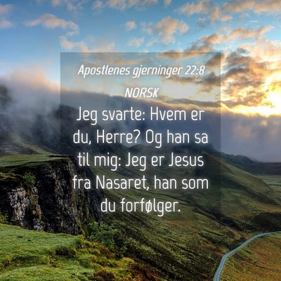 Picture 04 - Apostlenes gjerninger 22:8 NORSK - Jeg svarte: Hvem er du, Herre? Og han sa til mig: - Bible Verse Picture