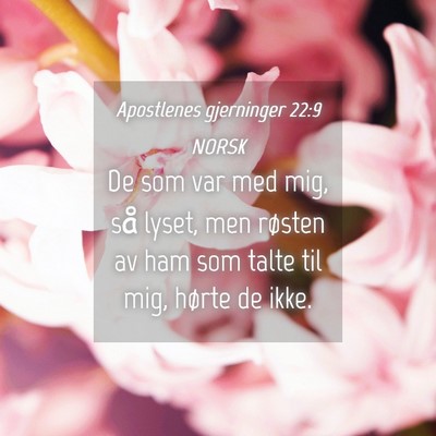 Picture 04 - Apostlenes gjerninger 22:9 NORSK - De som var med mig, så lyset, men røsten av ham - Bible Verse Picture
