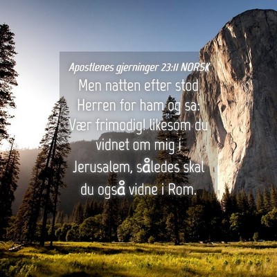 Picture 04 - Apostlenes gjerninger 23:11 NORSK - Men natten efter stod Herren for ham og sa: Vær - Bible Verse Picture