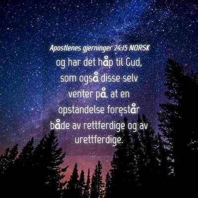 Picture 04 - Apostlenes gjerninger 24:15 NORSK - og har det håp til Gud, som også disse selv - Bible Verse Picture