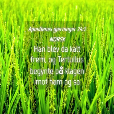 Picture 04 - Apostlenes gjerninger 24:2 NORSK - Han blev da kalt frem, og Tertullus begynte på - Bible Verse Picture