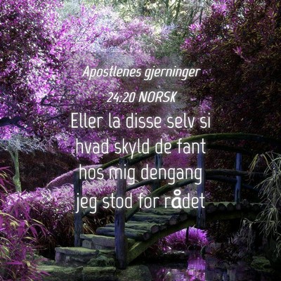 Picture 04 - Apostlenes gjerninger 24:20 NORSK - Eller la disse selv si hvad skyld de fant hos mig - Bible Verse Picture