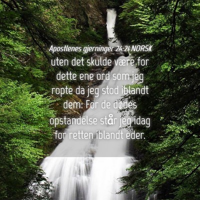 Picture 04 - Apostlenes gjerninger 24:21 NORSK - uten det skulde være for dette ene ord som jeg - Bible Verse Picture