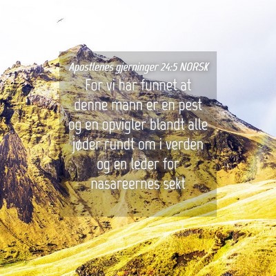 Picture 04 - Apostlenes gjerninger 24:5 NORSK - For vi har funnet at denne mann er en pest og en - Bible Verse Picture