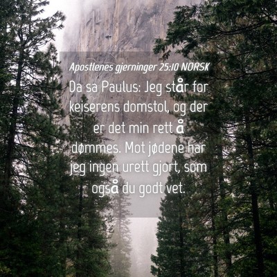 Picture 04 - Apostlenes gjerninger 25:10 NORSK - Da sa Paulus: Jeg står for keiserens domstol, og - Bible Verse Picture