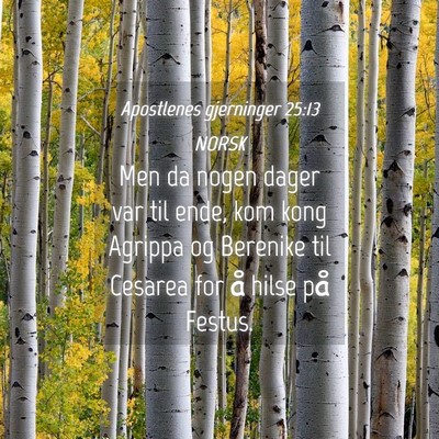 Picture 04 - Apostlenes gjerninger 25:13 NORSK - Men da nogen dager var til ende, kom kong Agrippa - Bible Verse Picture