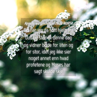 Picture 04 - Apostlenes gjerninger 26:22 NORSK - Så har jeg da fått hjelp fra Gud og står til - Bible Verse Picture
