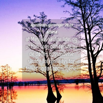 Picture 04 - Apostlenes gjerninger 26:23 NORSK - at Messias skulde lide, og at han som den første - Bible Verse Picture