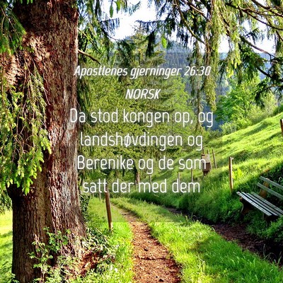 Picture 04 - Apostlenes gjerninger 26:30 NORSK - Da stod kongen op, og landshøvdingen og Berenike - Bible Verse Picture