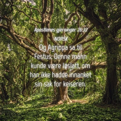 Picture 04 - Apostlenes gjerninger 26:32 NORSK - Og Agrippa sa til Festus: Denne mann kunde være - Bible Verse Picture