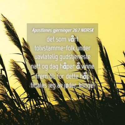 Picture 04 - Apostlenes gjerninger 26:7 NORSK - det som vårt tolvstamme-folk under uavlatelig - Bible Verse Picture