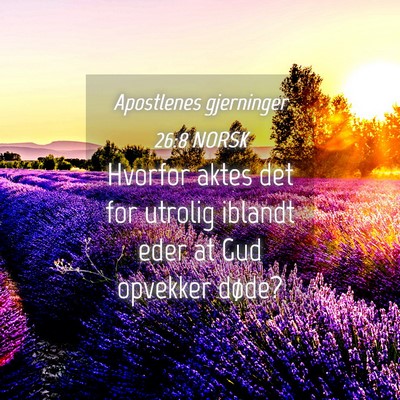 Picture 04 - Apostlenes gjerninger 26:8 NORSK - Hvorfor aktes det for utrolig iblandt eder at Gud - Bible Verse Picture