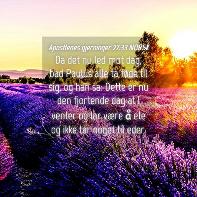 Picture 04 - Apostlenes gjerninger 27:33 NORSK - Da det nu led mot dag, bad Paulus alle ta føde - Bible Verse Picture