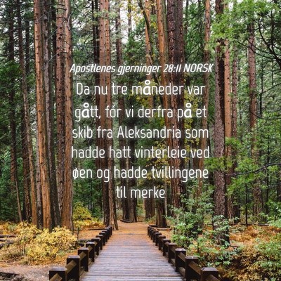 Picture 04 - Apostlenes gjerninger 28:11 NORSK - Da nu tre måneder var gått, fór vi derfra på - Bible Verse Picture