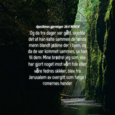Picture 04 - Apostlenes gjerninger 28:17 NORSK - Og da tre dager var gått, skjedde det at han - Bible Verse Picture