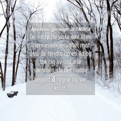 Picture 04 - Apostlenes gjerninger 28:2 NORSK - De innfødte viste ikke liten menneskekjærlighet - Bible Verse Picture