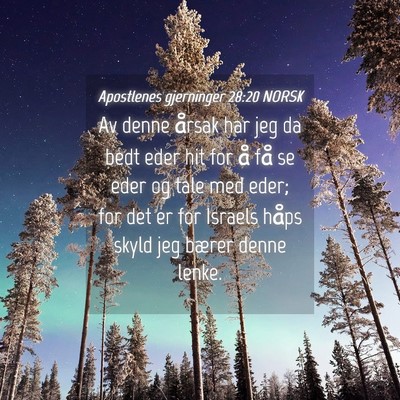 Picture 04 - Apostlenes gjerninger 28:20 NORSK - Av denne årsak har jeg da bedt eder hit for å - Bible Verse Picture