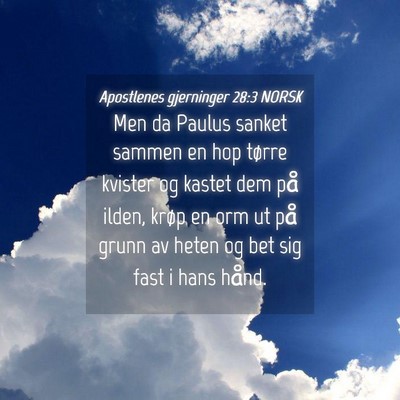 Picture 04 - Apostlenes gjerninger 28:3 NORSK - Men da Paulus sanket sammen en hop tørre kvister - Bible Verse Picture