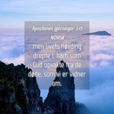 Picture 04 - Apostlenes gjerninger 3:15 NORSK - men livets høvding drepte I, ham som Gud opvakte - Bible Verse Picture
