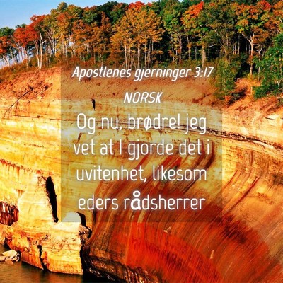 Picture 04 - Apostlenes gjerninger 3:17 NORSK - Og nu, brødre! jeg vet at I gjorde det i - Bible Verse Picture