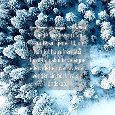 Picture 04 - Apostlenes gjerninger 3:26 NORSK - I var de første som Gud sendte sin tjener til, - Bible Verse Picture