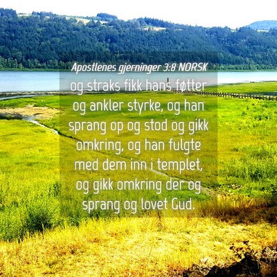 Picture 04 - Apostlenes gjerninger 3:8 NORSK - og straks fikk hans føtter og ankler styrke, og - Bible Verse Picture