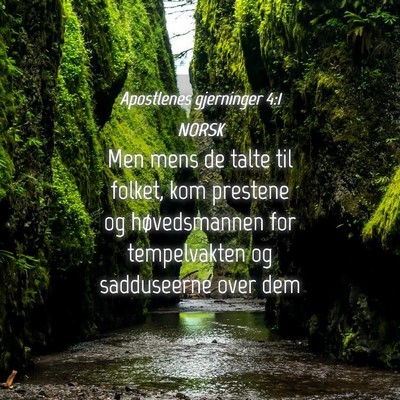 Picture 04 - Apostlenes gjerninger 4:1 NORSK - Men mens de talte til folket, kom prestene og - Bible Verse Picture