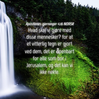 Picture 04 - Apostlenes gjerninger 4:16 NORSK - Hvad skal vi gjøre med disse mennesker? for at - Bible Verse Picture
