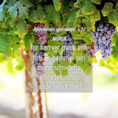 Picture 04 - Apostlenes gjerninger 4:22 NORSK - for han var mere enn firti år gammel den mann - Bible Verse Picture