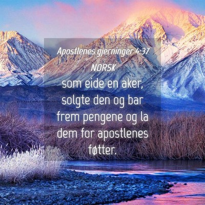 Picture 04 - Apostlenes gjerninger 4:37 NORSK - som eide en aker, solgte den og bar frem pengene - Bible Verse Picture