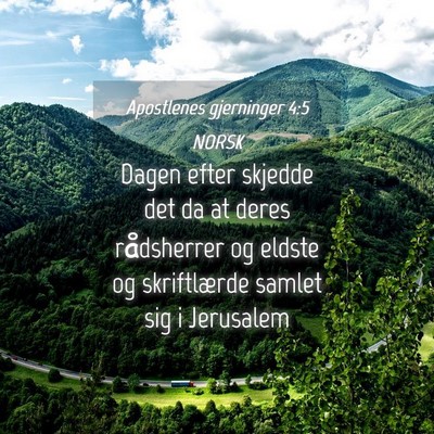 Picture 04 - Apostlenes gjerninger 4:5 NORSK - Dagen efter skjedde det da at deres rådsherrer - Bible Verse Picture