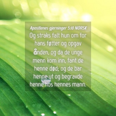 Picture 04 - Apostlenes gjerninger 5:10 NORSK - Og straks falt hun om for hans føtter og opgav - Bible Verse Picture