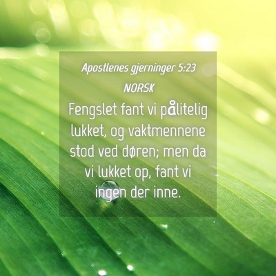 Picture 04 - Apostlenes gjerninger 5:23 NORSK - Fengslet fant vi pålitelig lukket, og - Bible Verse Picture