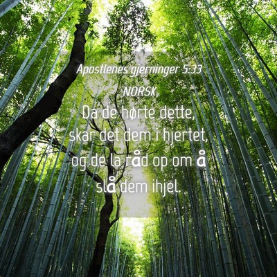 Picture 04 - Apostlenes gjerninger 5:33 NORSK - Da de hørte dette, skar det dem i hjertet, og de - Bible Verse Picture