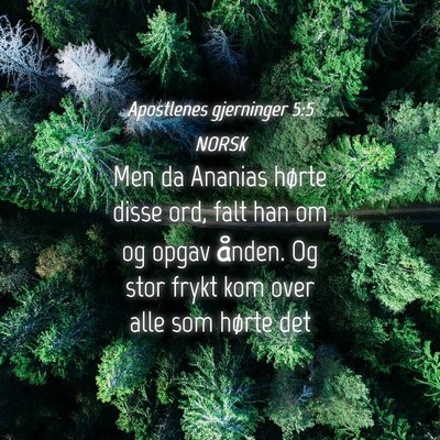 Picture 04 - Apostlenes gjerninger 5:5 NORSK - Men da Ananias hørte disse ord, falt han om og - Bible Verse Picture