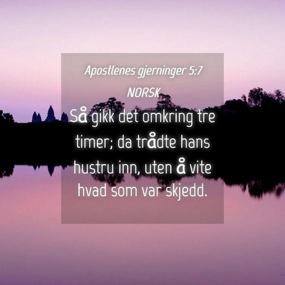 Picture 04 - Apostlenes gjerninger 5:7 NORSK - Så gikk det omkring tre timer; da trådte hans - Bible Verse Picture