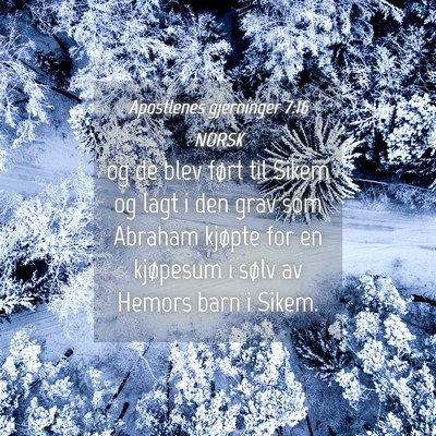 Picture 04 - Apostlenes gjerninger 7:16 NORSK - og de blev ført til Sikem og lagt i den grav som - Bible Verse Picture