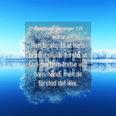 Picture 04 - Apostlenes gjerninger 7:25 NORSK - Han tenkte da at hans brødre skulde forstå at - Bible Verse Picture