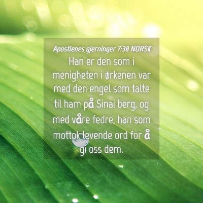 Picture 04 - Apostlenes gjerninger 7:38 NORSK - Han er den som i menigheten i ørkenen var med - Bible Verse Picture