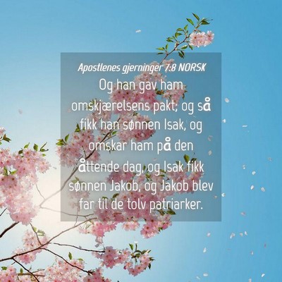Picture 04 - Apostlenes gjerninger 7:8 NORSK - Og han gav ham omskjærelsens pakt; og så fikk - Bible Verse Picture