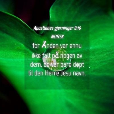 Picture 04 - Apostlenes gjerninger 8:16 NORSK - for Ånden var ennu ikke falt på nogen av dem, - Bible Verse Picture