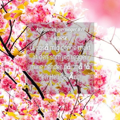 Picture 04 - Apostlenes gjerninger 8:19 NORSK - Gi også mig denne makt at den som jeg legger - Bible Verse Picture