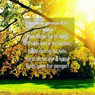 Picture 04 - Apostlenes gjerninger 8:20 NORSK - Men Peter sa til ham: Ditt sølv være forbannet, - Bible Verse Picture