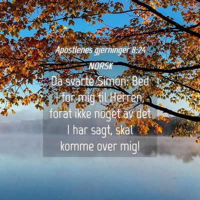 Picture 04 - Apostlenes gjerninger 8:24 NORSK - Da svarte Simon: Bed I for mig til Herren, forat - Bible Verse Picture